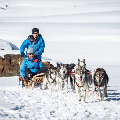 Huskies ziehen Schlitten durch die Berglandschaft