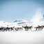 Huskies bringen dich durch die Berglandschaft Huskies ziehen Schlitten durch die Berglandschaft
