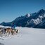 Erlebnis mit Aussicht auf 4000er Berggipfel  Huskies ziehen Schlitten mit Bergen im Hintergrund