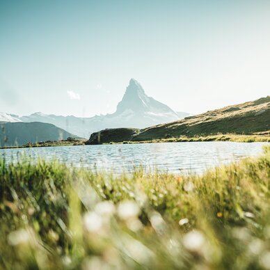 Vue du Cervin depuis les rives vertes du Stellisee | © Marco Schnyder